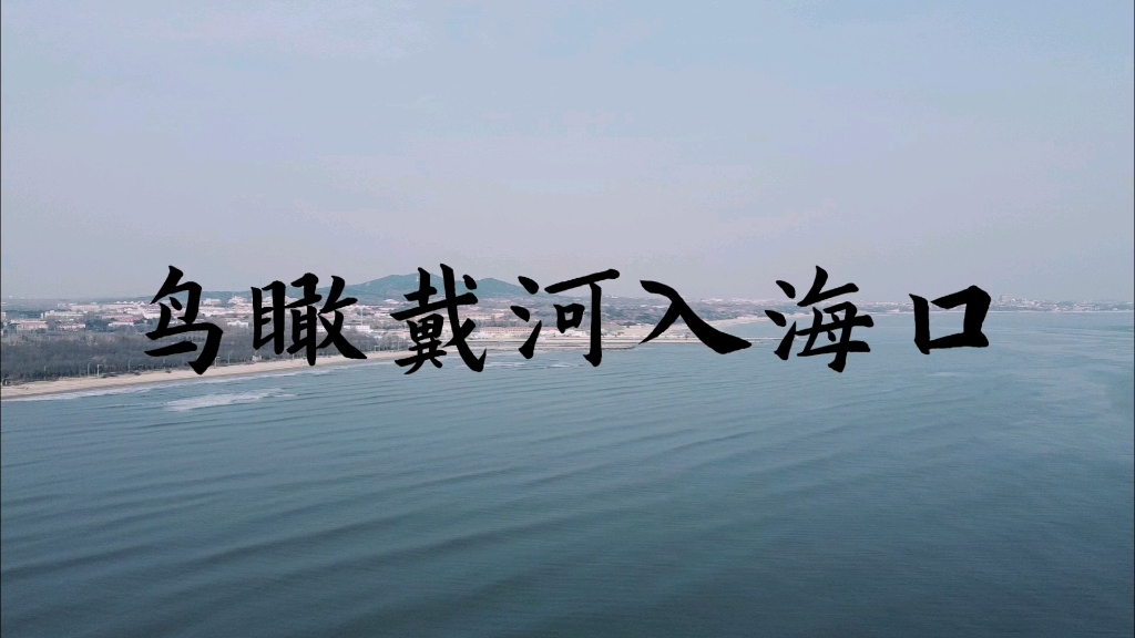 海鸥眼中的戴河入海口是什么样的?沉浸式体验哔哩哔哩bilibili