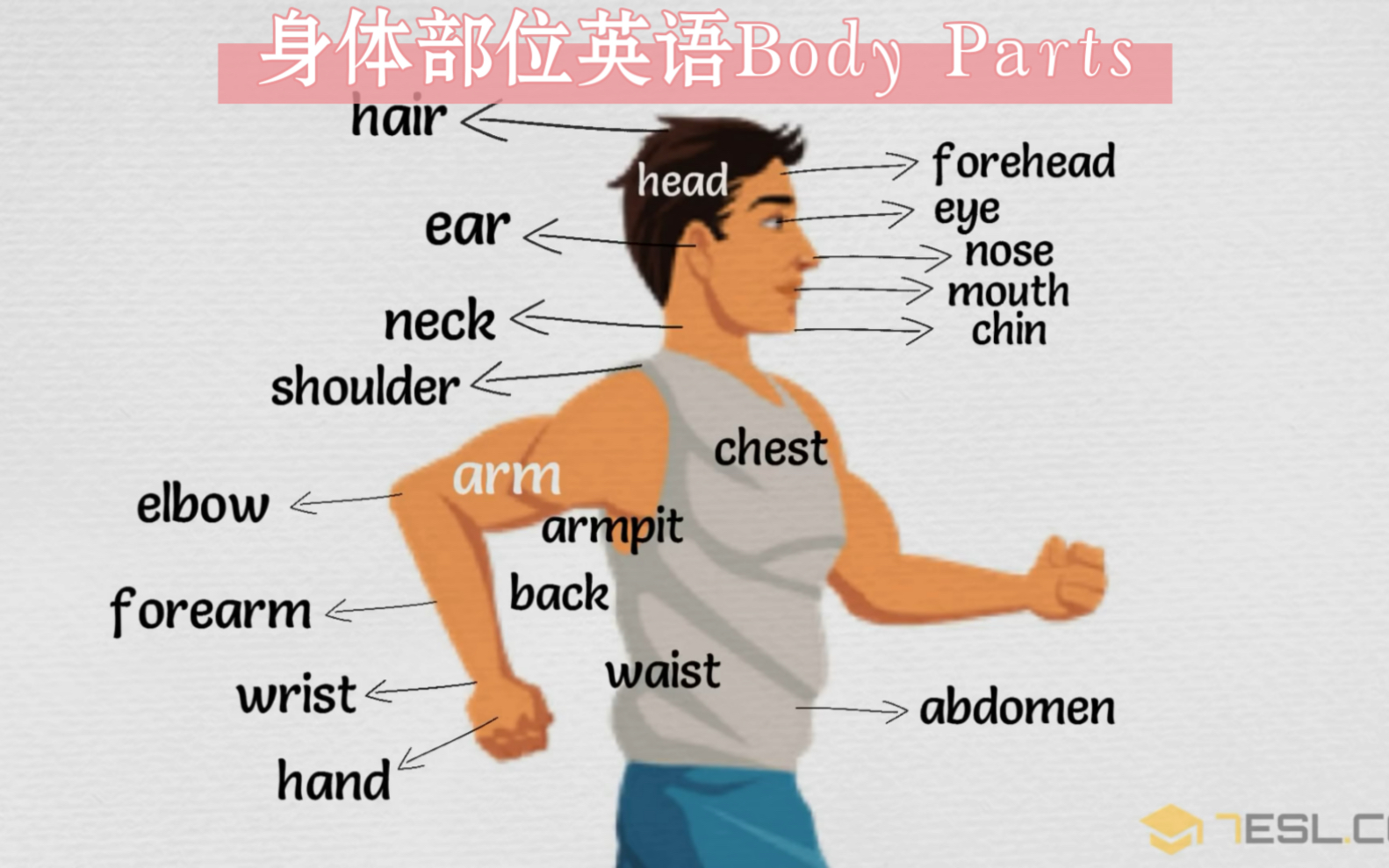 身体部位!外教带读Body Parts哔哩哔哩bilibili