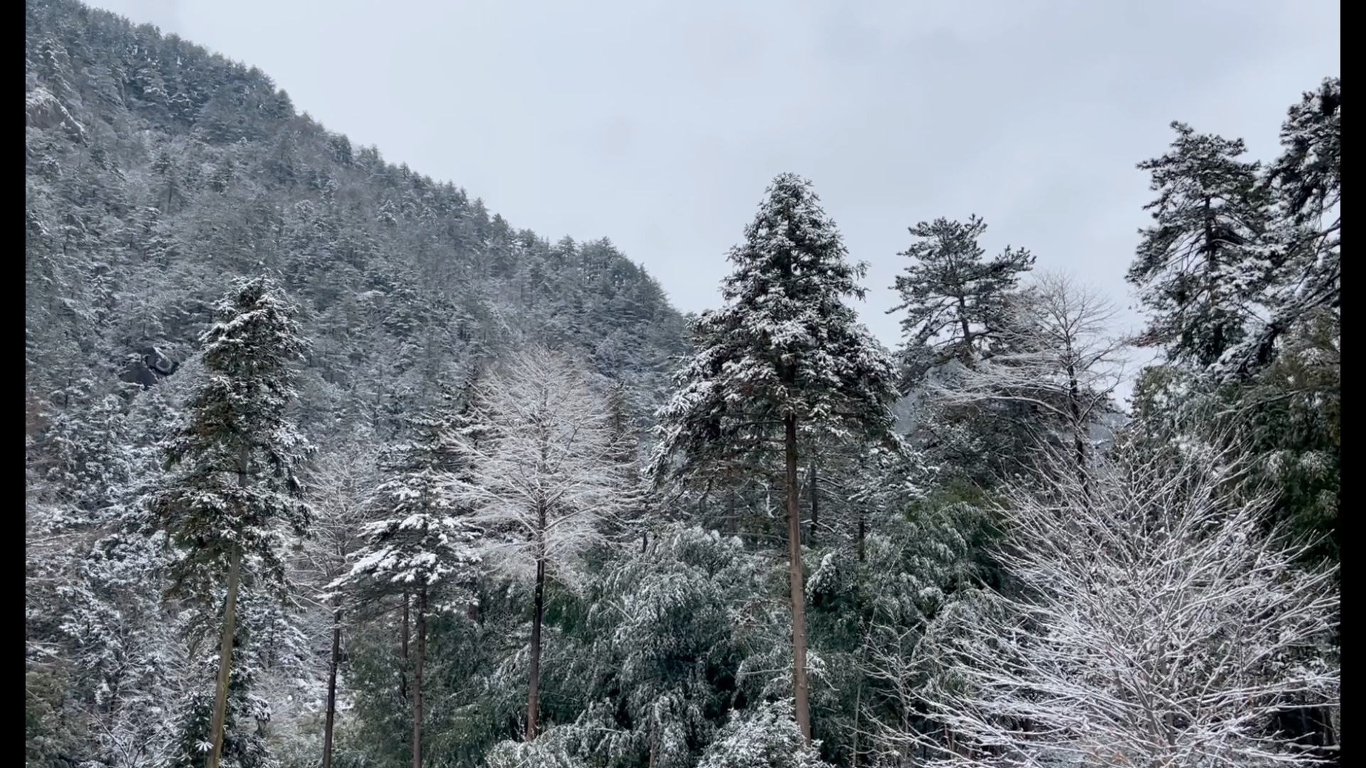 [图]雪停后