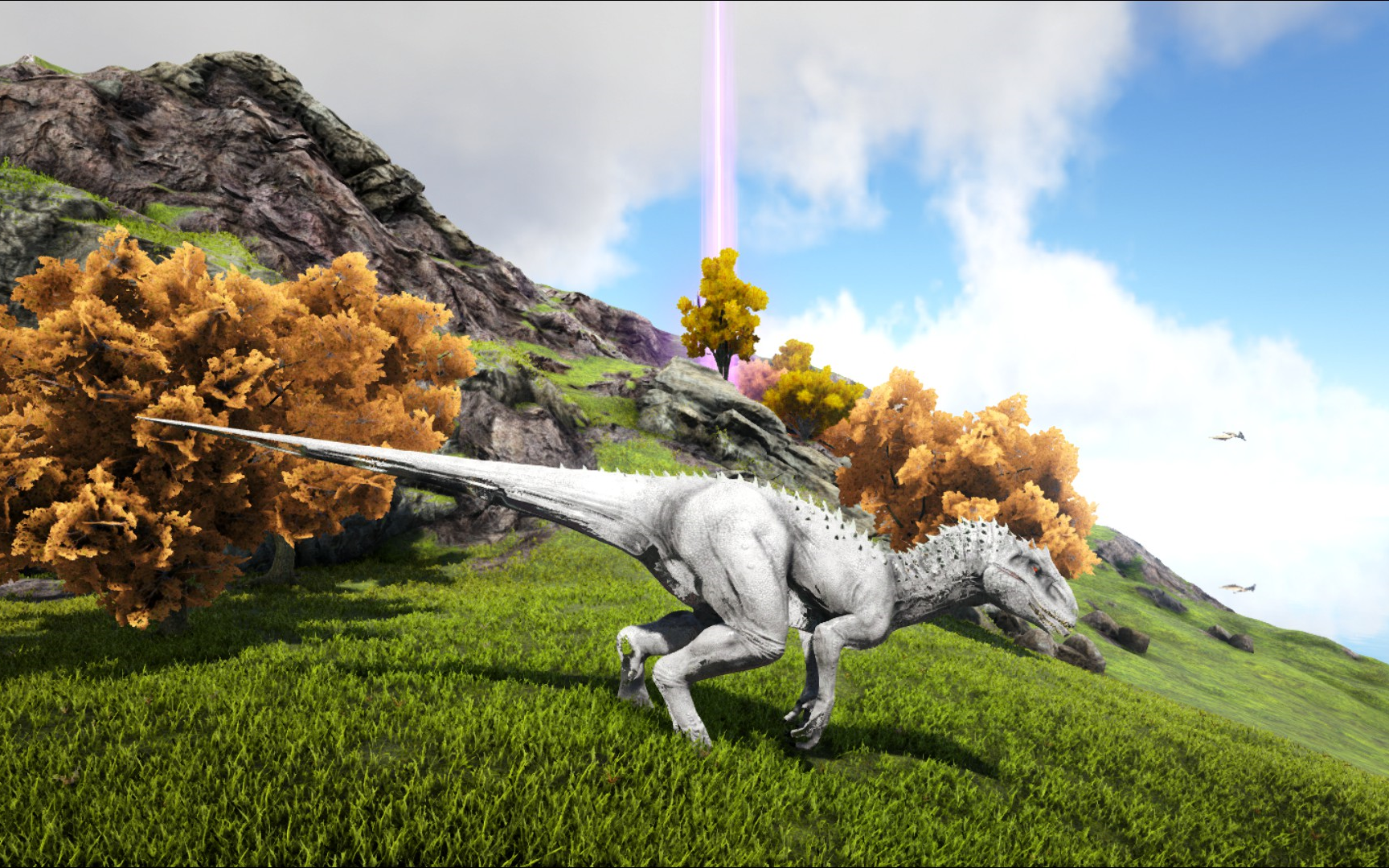 啊酉《方舟,仙境》倒计时6