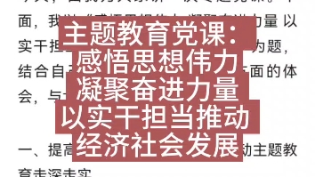 主题教育党课:感悟思想伟力 凝聚奋进力量 以实干担当推动 经济社会发展哔哩哔哩bilibili