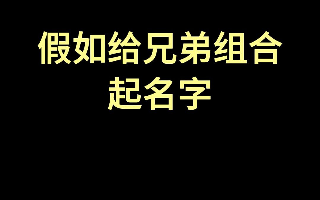 假如给兄弟组合起名字哔哩哔哩bilibili