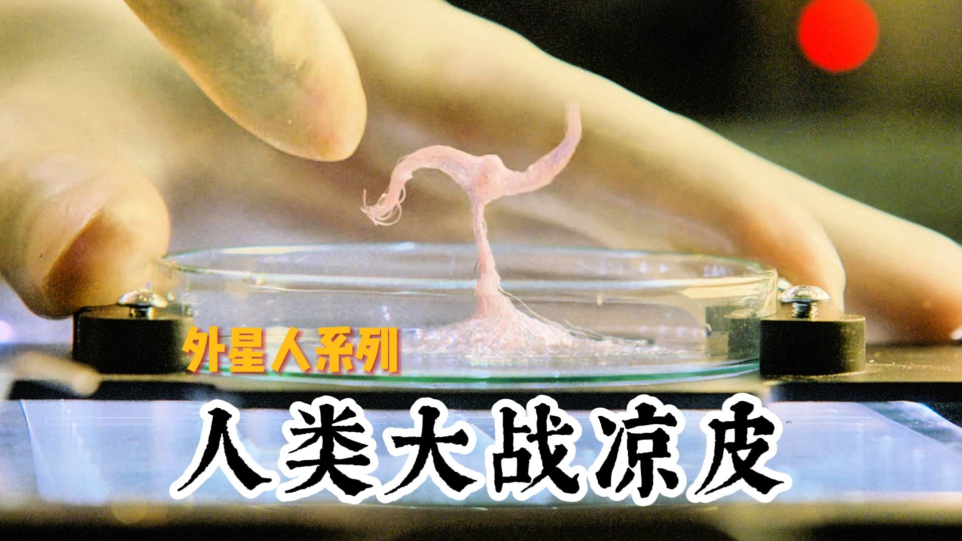 【外星人系列之人类大战凉皮】