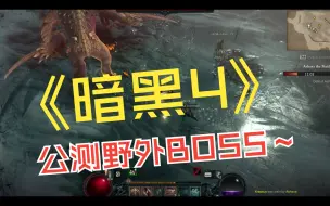 Video herunterladen: 暗黑4 公测版本野外BOSS击杀展示