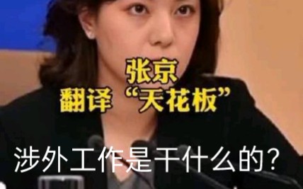 涉外工作是干什么的??哔哩哔哩bilibili