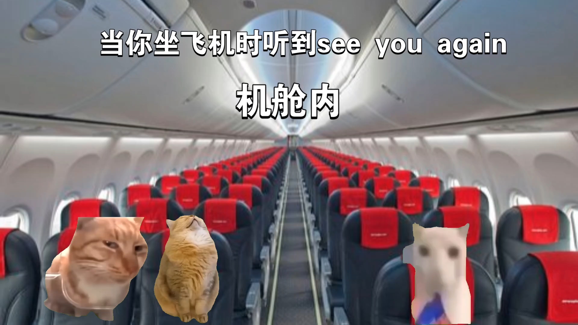 [图]当你坐飞机时听到see you again…