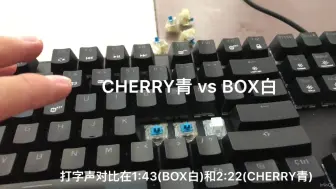 Download Video: BOX白对比CHERRY青 机械键盘段落轴对比