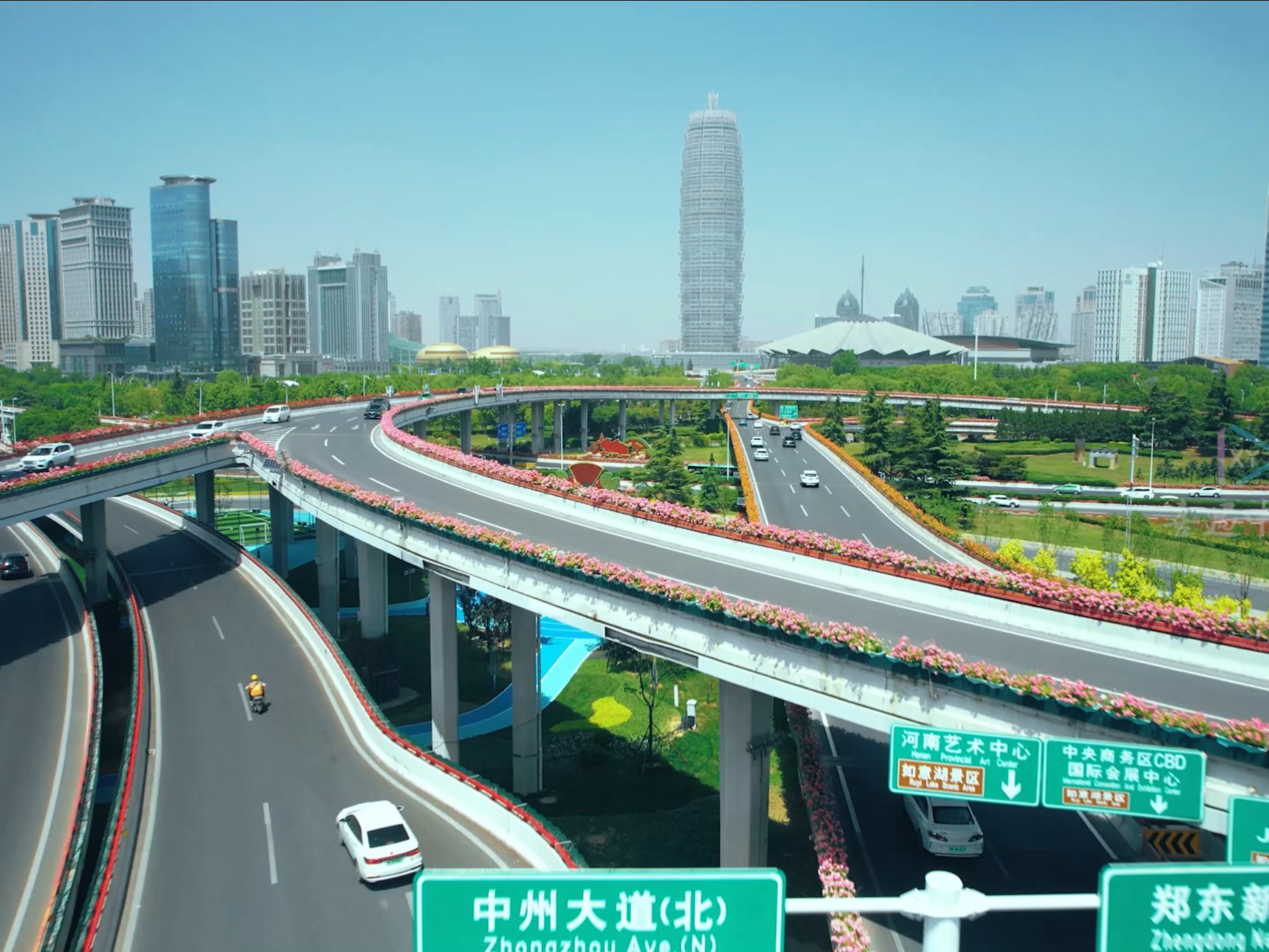 郑州高架桥上月季绽放成"空中画廊",一路繁花,满城浪漫