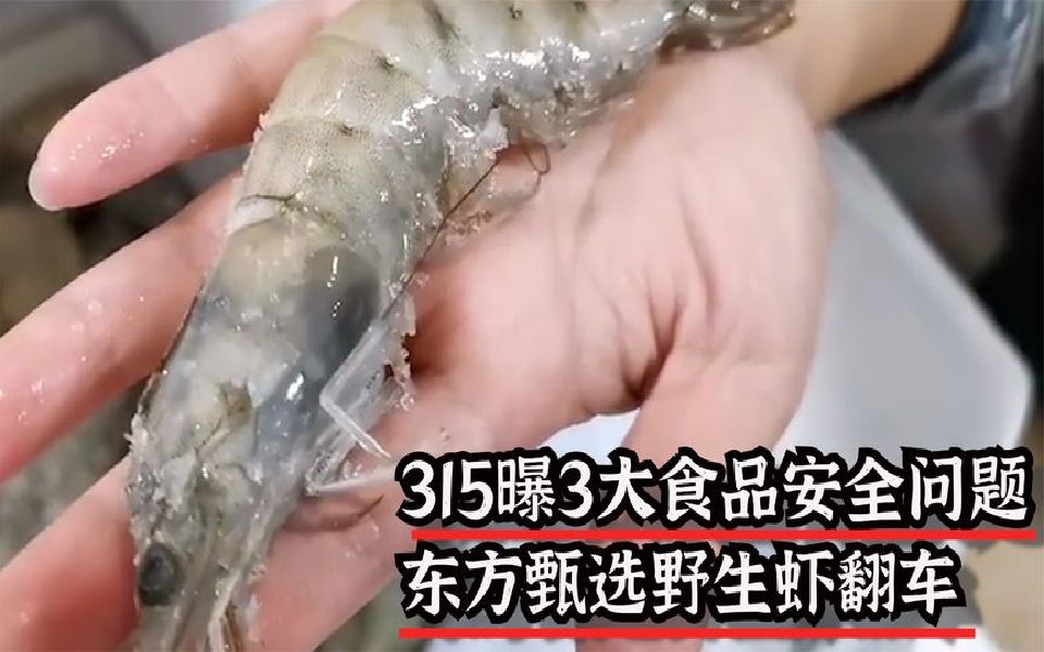 315曝3大食品安全问题,东方甄选野生虾翻车,车厘子高价原因找到哔哩哔哩bilibili