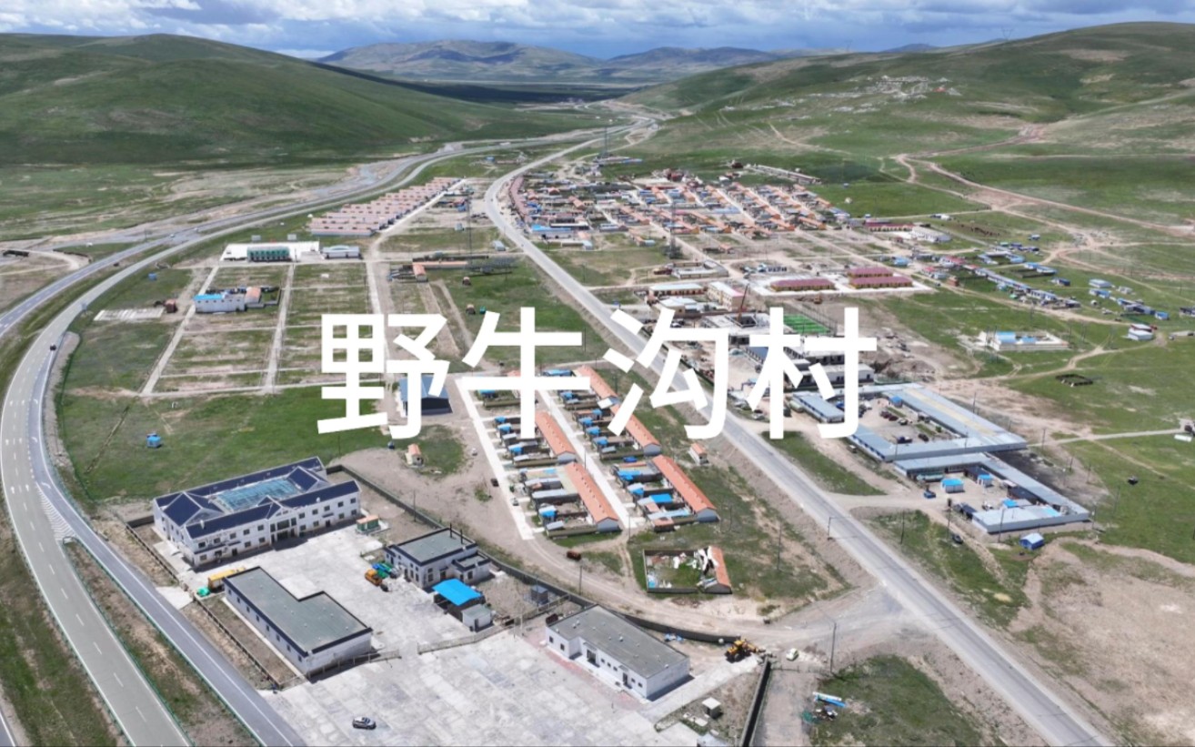 自驾青南阿坝甘孜-青海省果洛藏族自治州玛多县玛查理镇野牛沟村