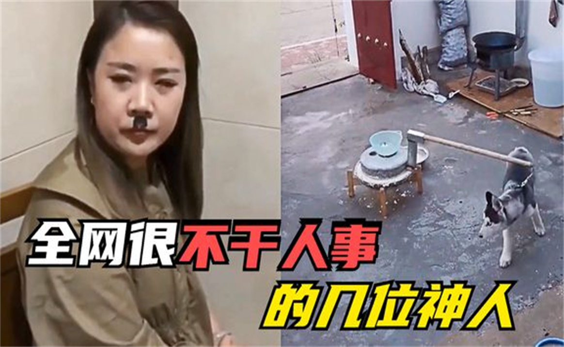 [图]盘点全网很不干人事的几位神人，让狗替驴拉磨，摄像头上贴鬼脸