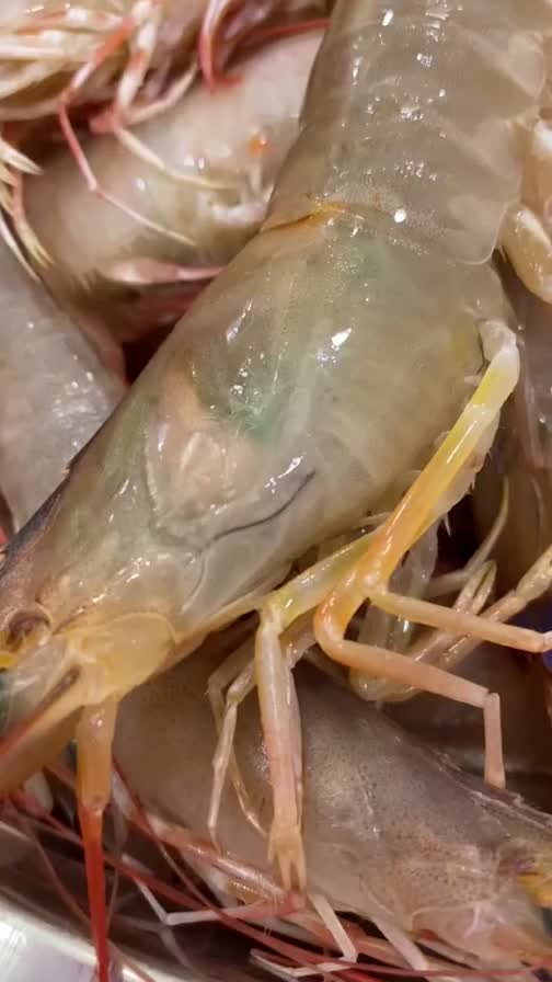 虾体内疑似有寄生虫!黑色长虫不断蠕动看得人头皮发麻