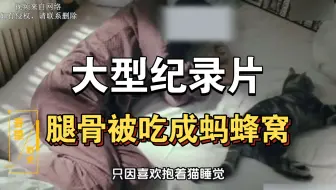 大型纪录片《腿骨被吃成蚂蜂窝》持续为你播出！！！！！！！