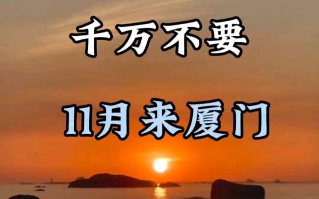 千万不要11月来厦门,来了你会后悔,因为11月的厦门太便宜啦,五天四夜人均不到一千块,赶紧出发吧#厦门旅游攻略#厦门旅游#鼓浪屿哔哩哔哩bilibili