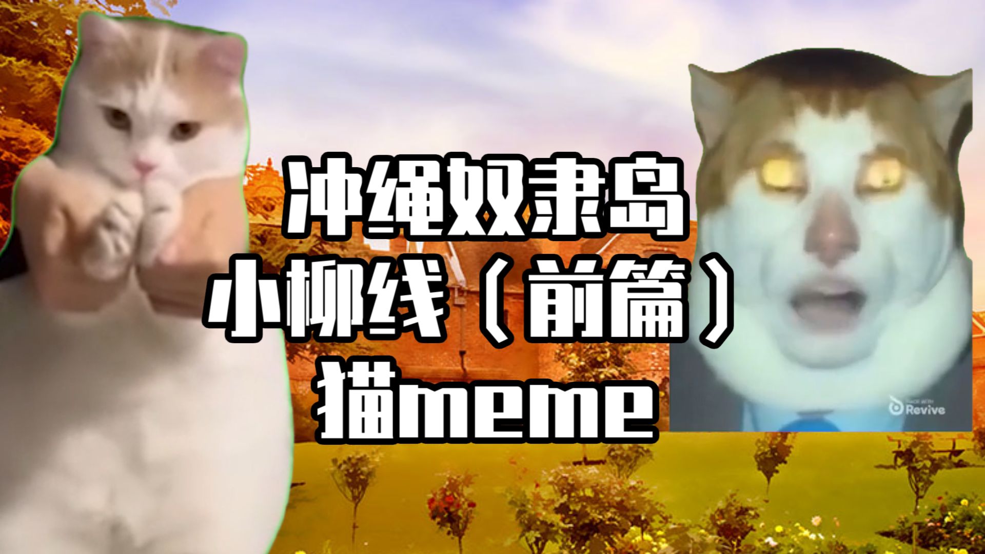 【猫meme】三分钟看完冲绳奴隶岛小柳线(前篇)哔哩哔哩bilibili