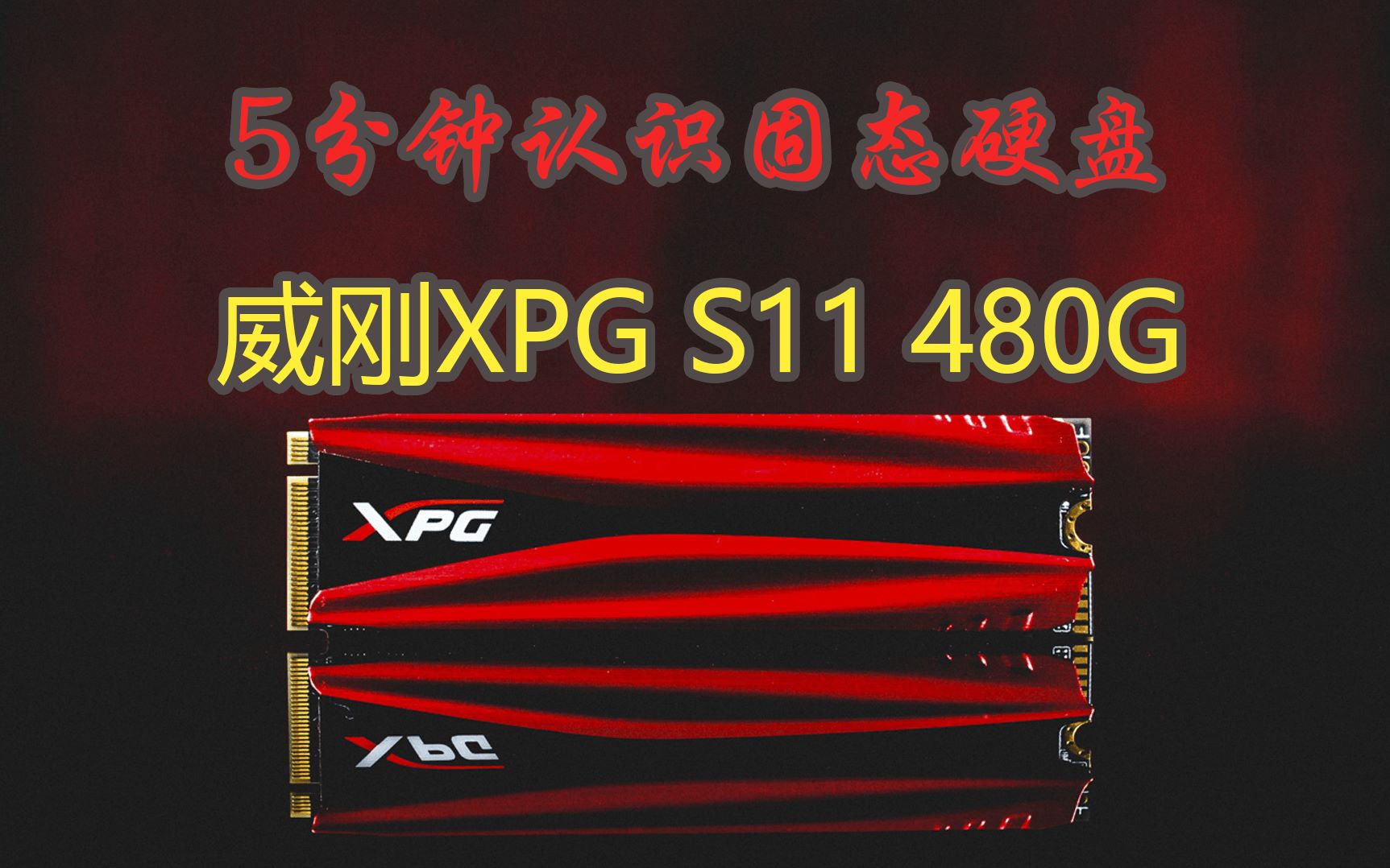 【PCEVA】5分钟认识固态硬盘:威刚XPG S11和XPG Storm哔哩哔哩bilibili