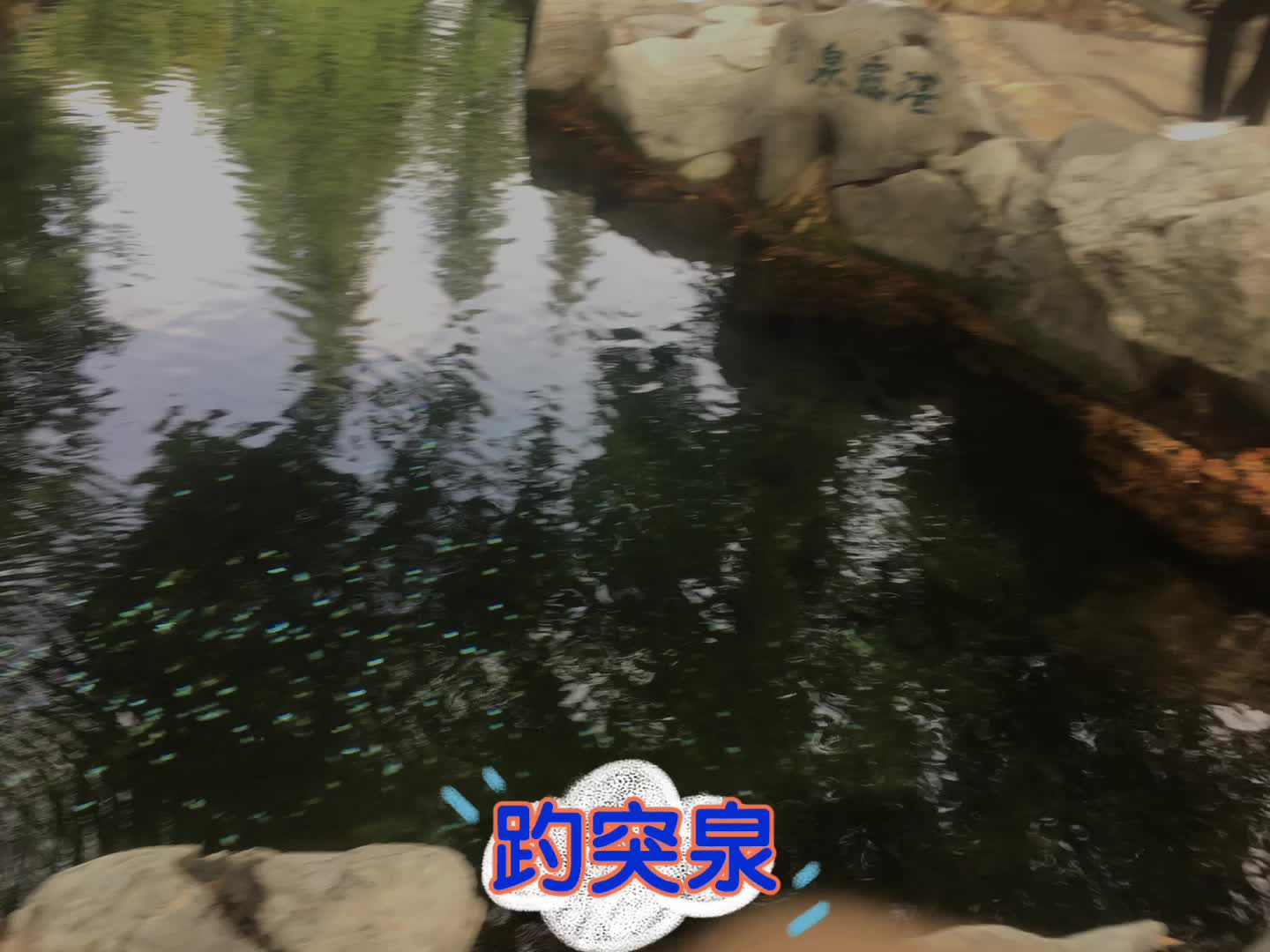 泉城之趵突泉 哔哩哔哩