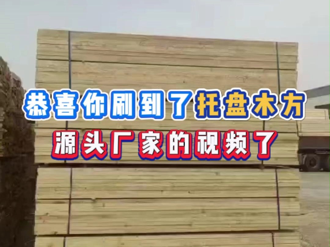 恭喜你刷到了托盘木方 源头厂家的视频了 名和沪中专注20年木方加工厂 如果你有木方定制需求 一定要来我们工厂转一转哔哩哔哩bilibili