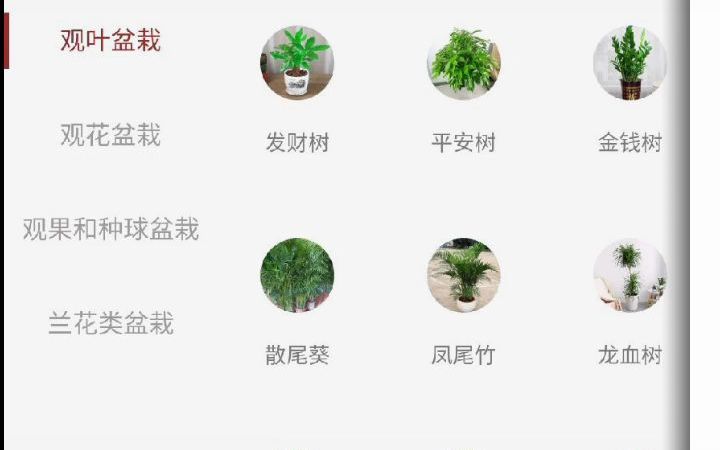 植物识别 计算机毕业设计哔哩哔哩bilibili