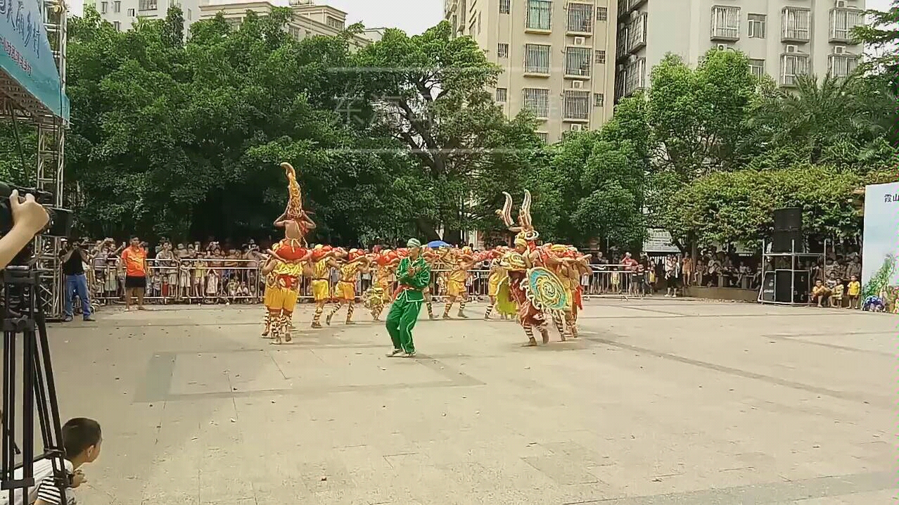 湛江东海岛人龙舞表演哔哩哔哩bilibili