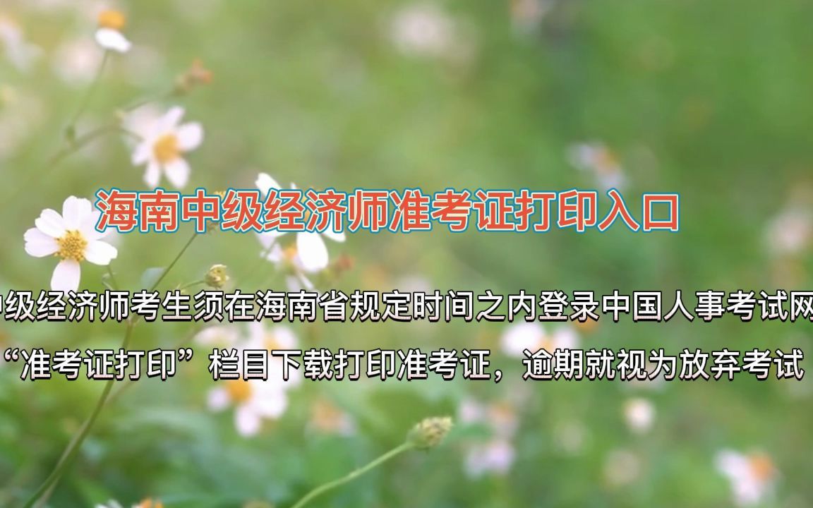 海南中级经济师准考证打印时间和入口哔哩哔哩bilibili