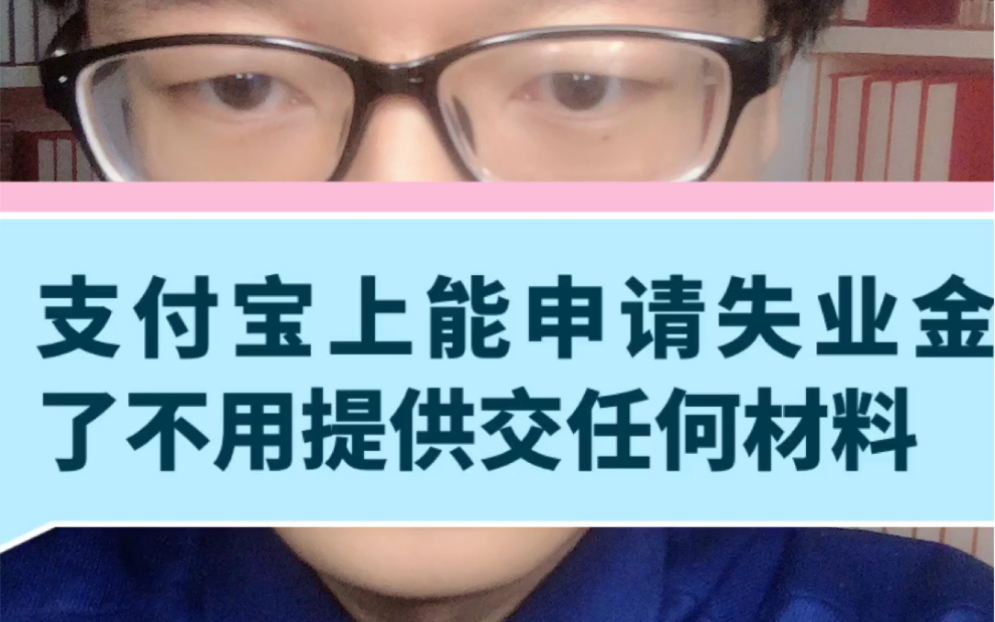 支付宝上能申请失业金了不用提供任何材料哔哩哔哩bilibili