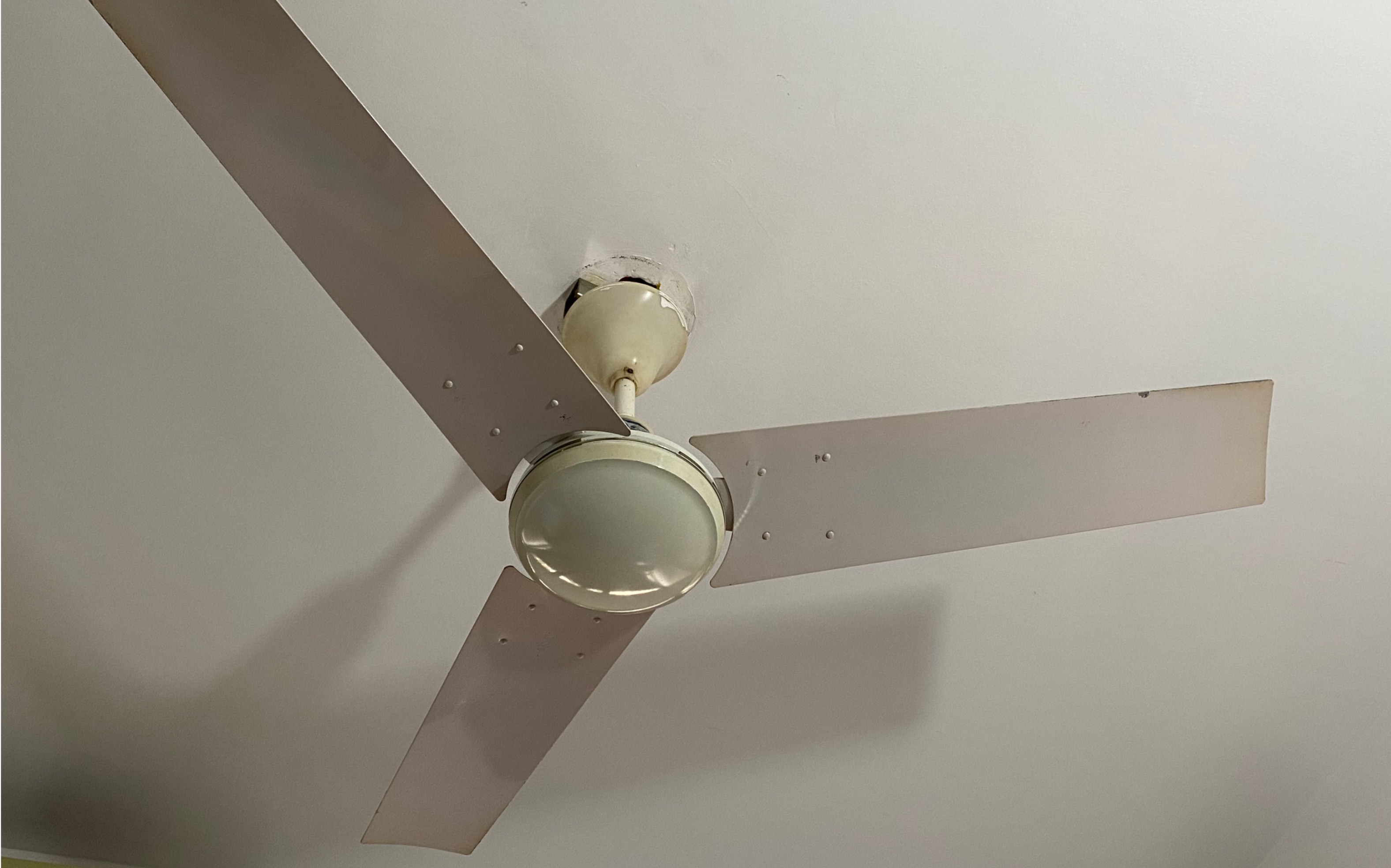 上海/深圳 舒乐/New Fan 1200mm/48寸 工业吊扇哔哩哔哩bilibili