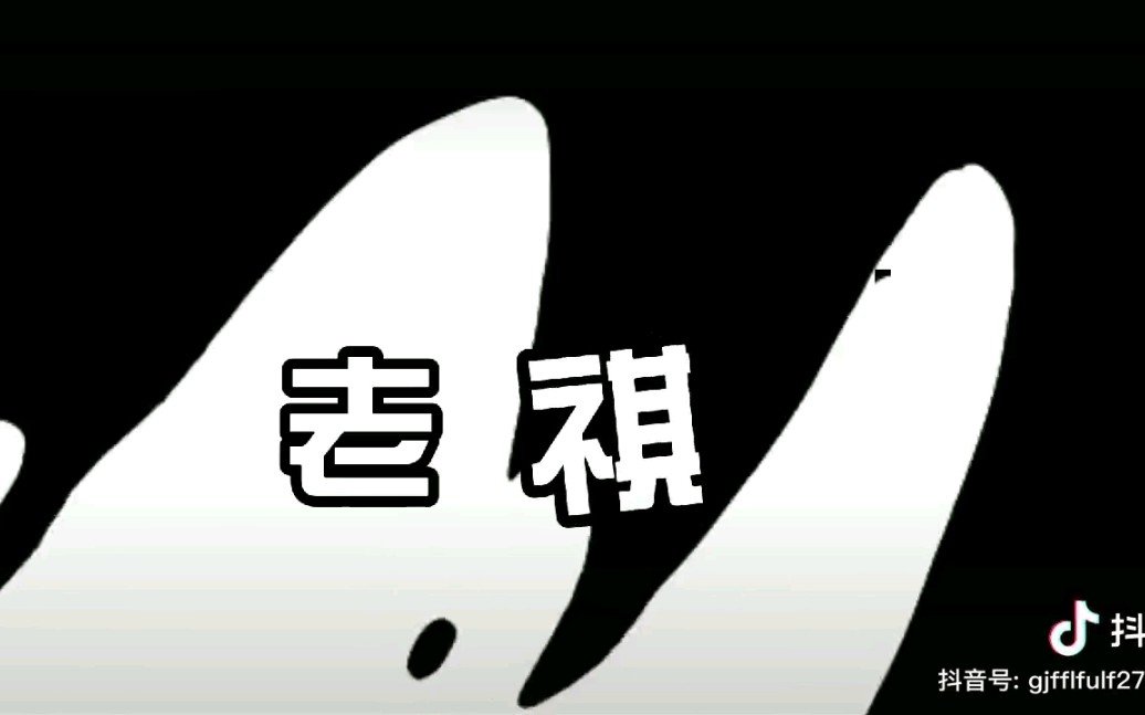 2020冠军-老祺
