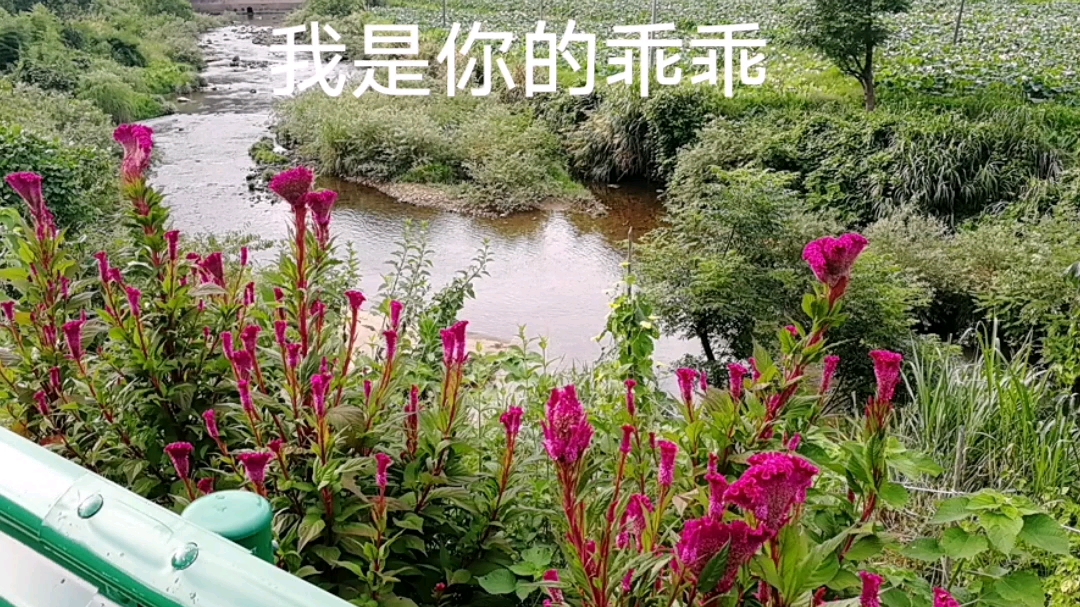 《我是你的乖乖》!李春泉/词曲.歌词好肉麻呀!旋律很调皮咯!送给热恋中的人儿...要幸福!好*ing福!哔哩哔哩bilibili