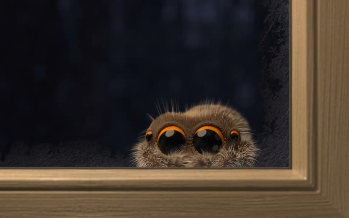 萌物小蜘蛛卢卡丝2外面好冷哦lucasthespideritscoldoutside