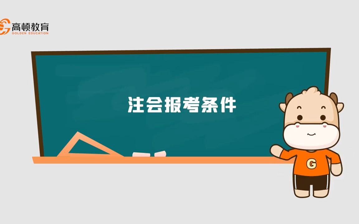 注会报考条件哔哩哔哩bilibili