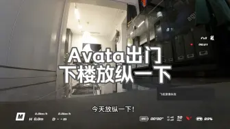 Descargar video: 用avata出门放纵一下！