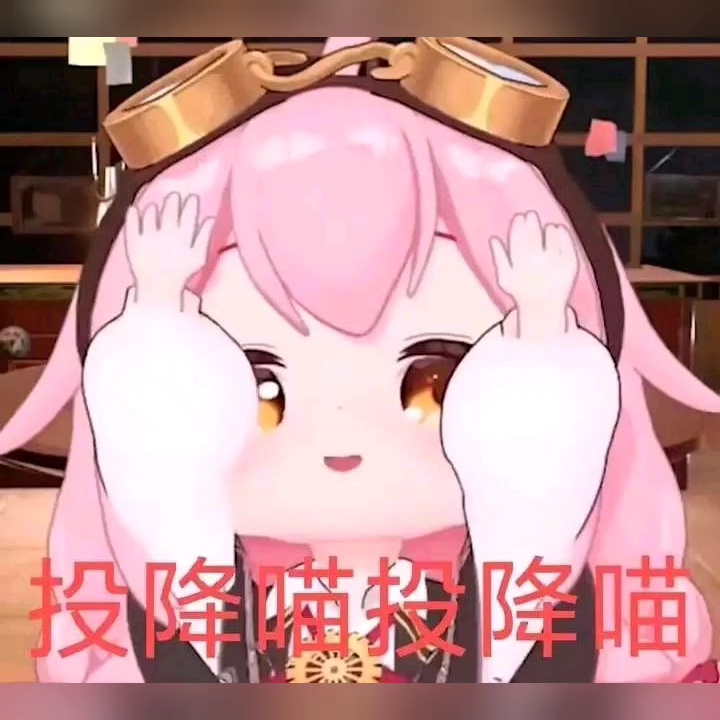永雏小菲投降喵表情包