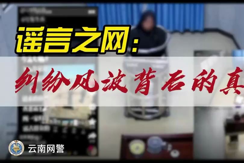 谣言之网:纠纷风波背后的真相哔哩哔哩bilibili