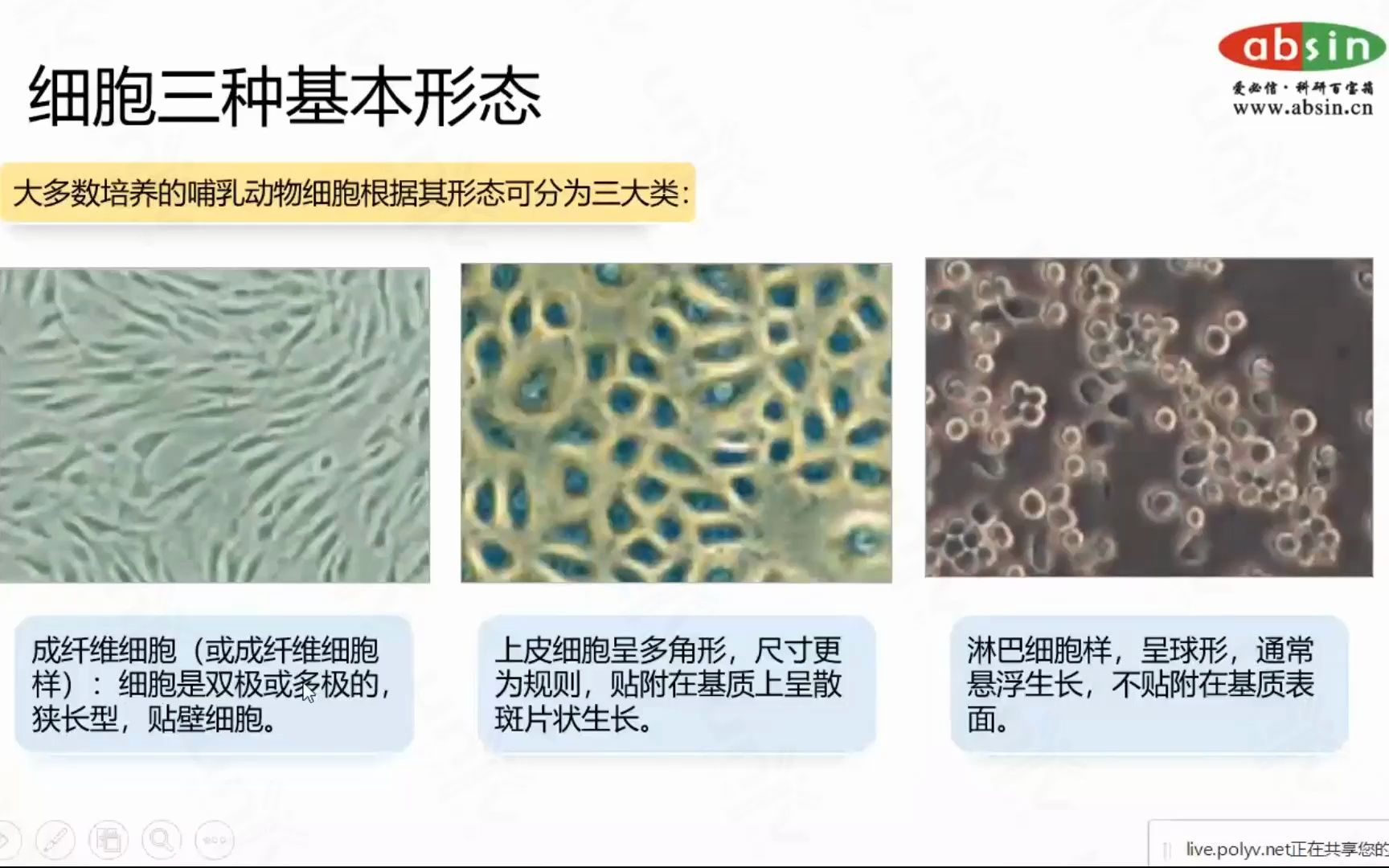 健康细胞“气色”特征哔哩哔哩bilibili