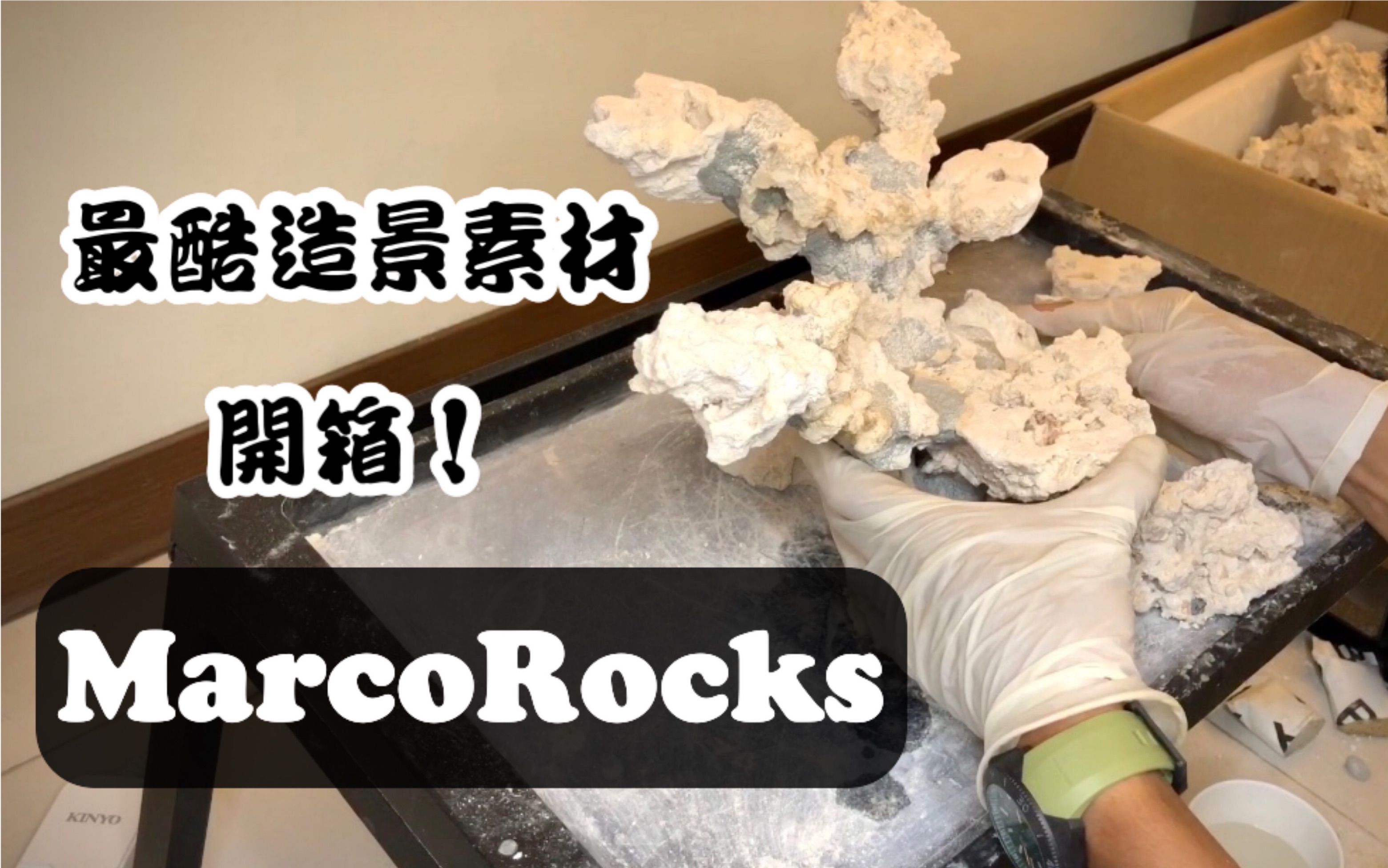 【MarcoRocks】海水缸造景素材新选择!哔哩哔哩bilibili