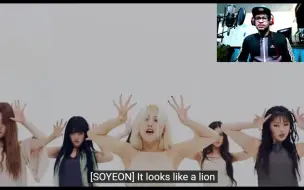 Download Video: 【Re娃】Los看娃《LION》MV