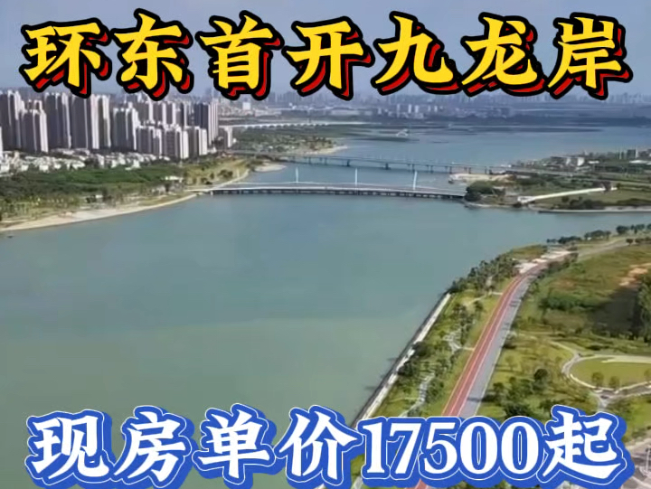 厦门环东首开九龙岸一首现房,单价17500起,可以看一线海景哔哩哔哩bilibili