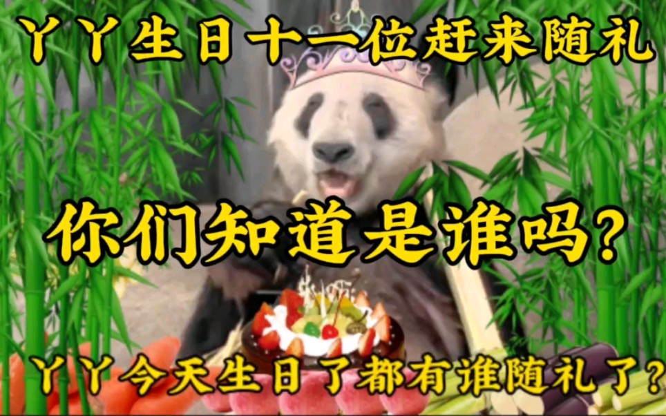 [图]丫丫今天过生日！有十一位赶来随礼？场面太震撼了吧！#大熊猫丫丫 #丫丫 #熊猫丫丫