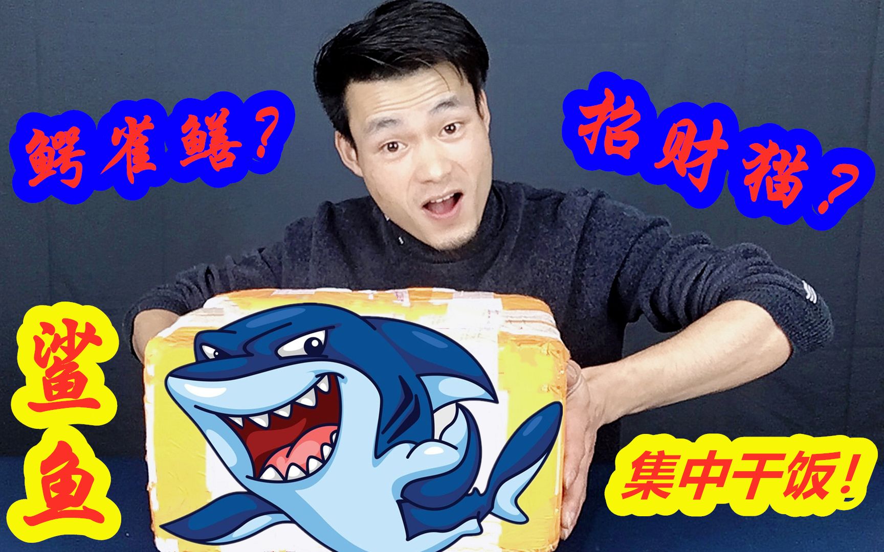 开箱一条25公分的鲨鱼相比鳄雀鳝和招财猫谁能更胜一筹