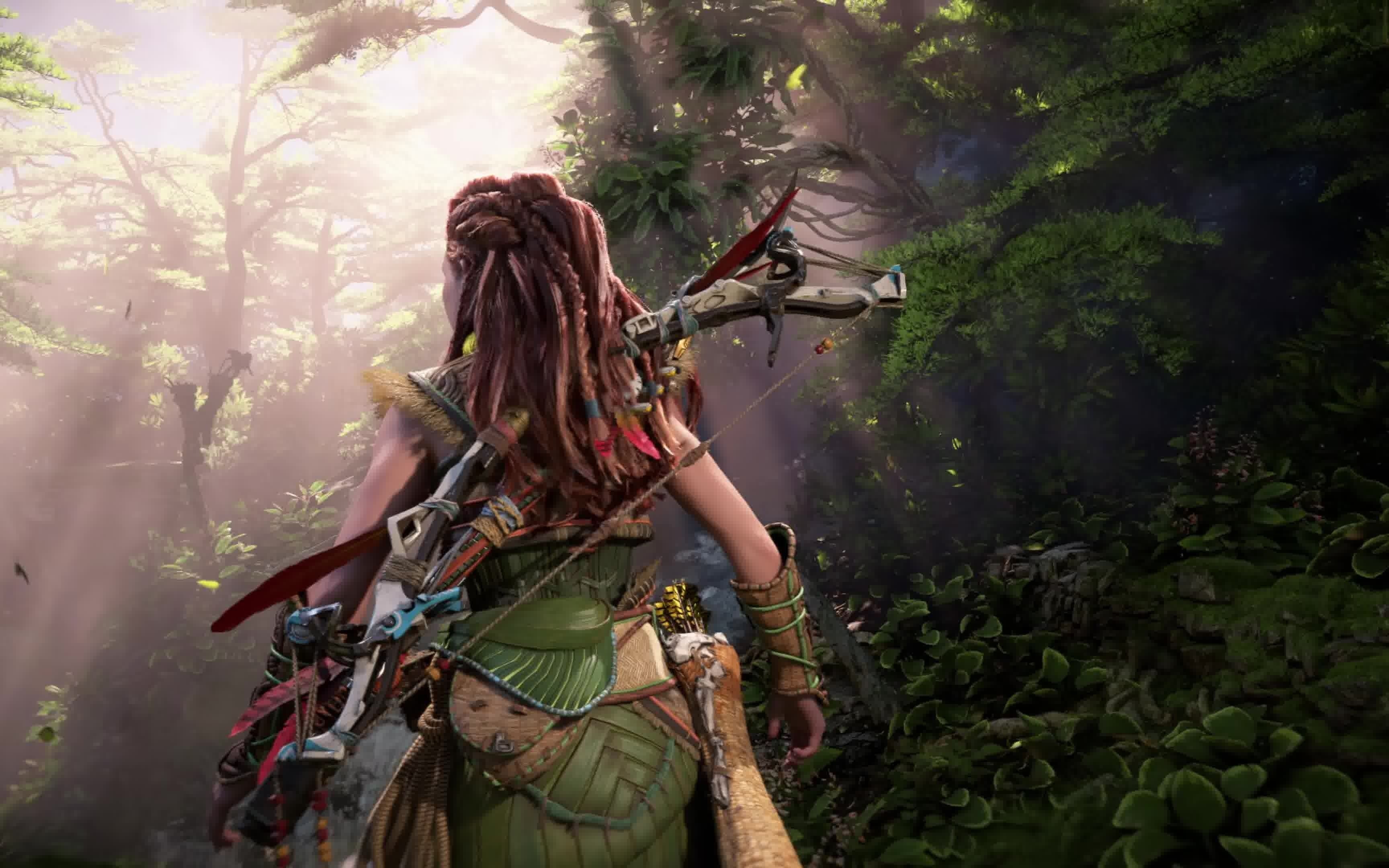 地平线2西部禁域4k源视频下载2021528更新