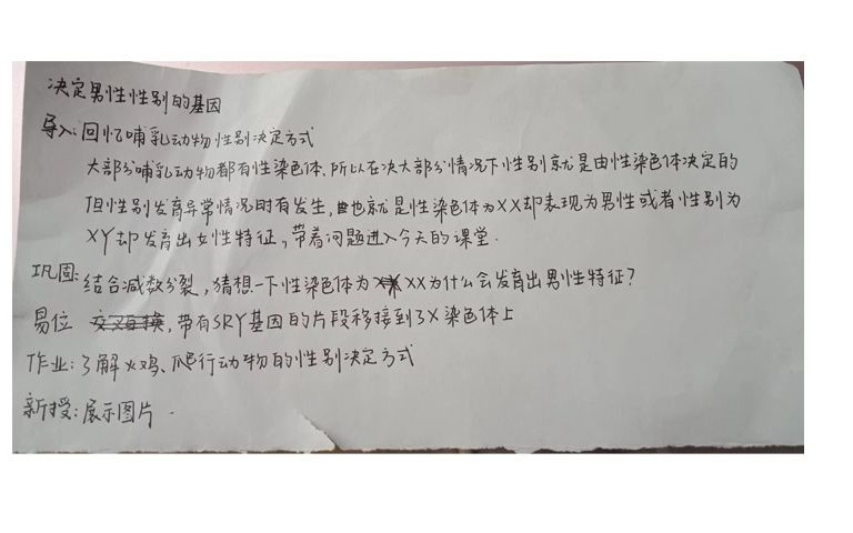 [高中生物教资面试]决定男性性别的基因 SRY基因哔哩哔哩bilibili