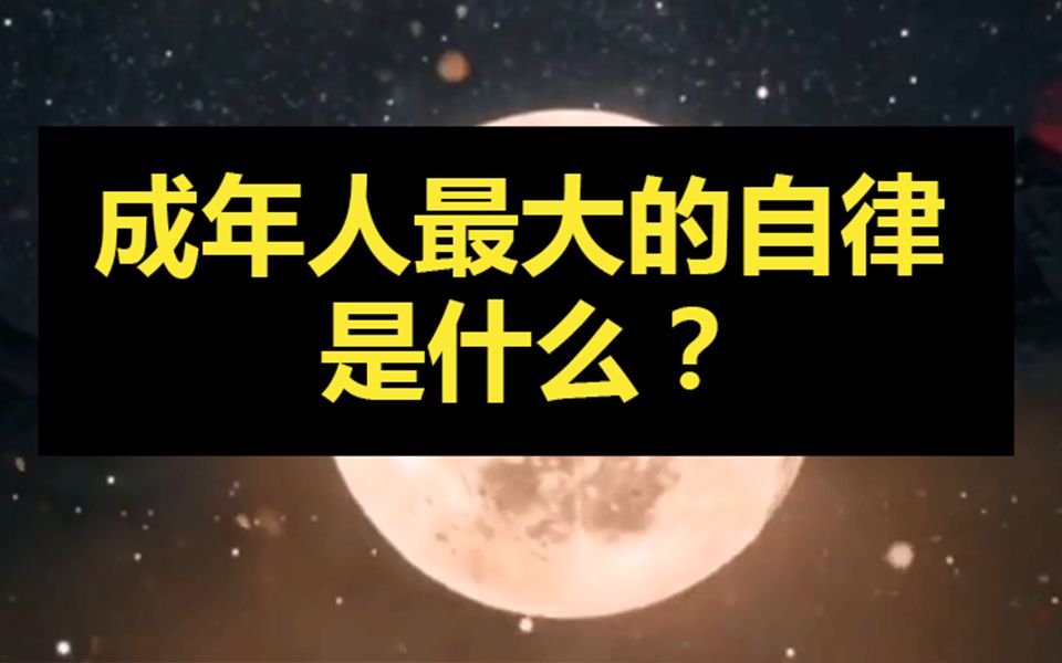 成年人最大的自律是什么?哔哩哔哩bilibili