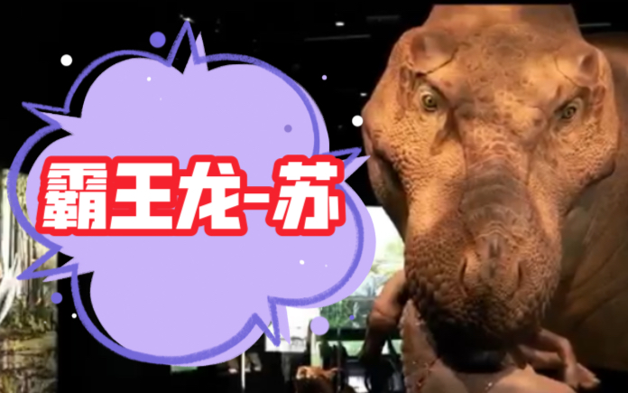 走进霸王龙"苏"的世界,开启全新的恐龙视觉体验