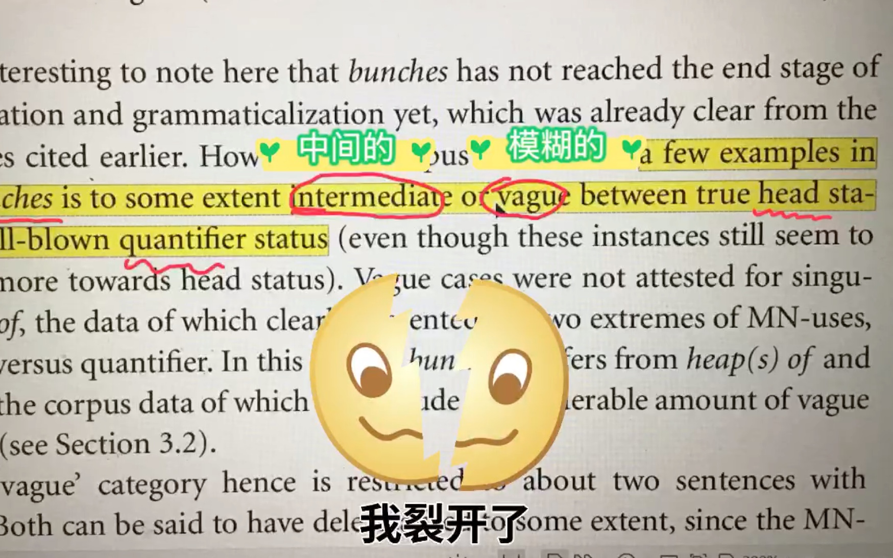 [图]语言学论文也可以写得生动精彩：好词妙用分享（非专业人士谨慎观看～）