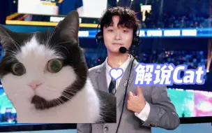 Download Video: 【Cat】请问需要猫猫为您分析BP吗，预言家的那种!