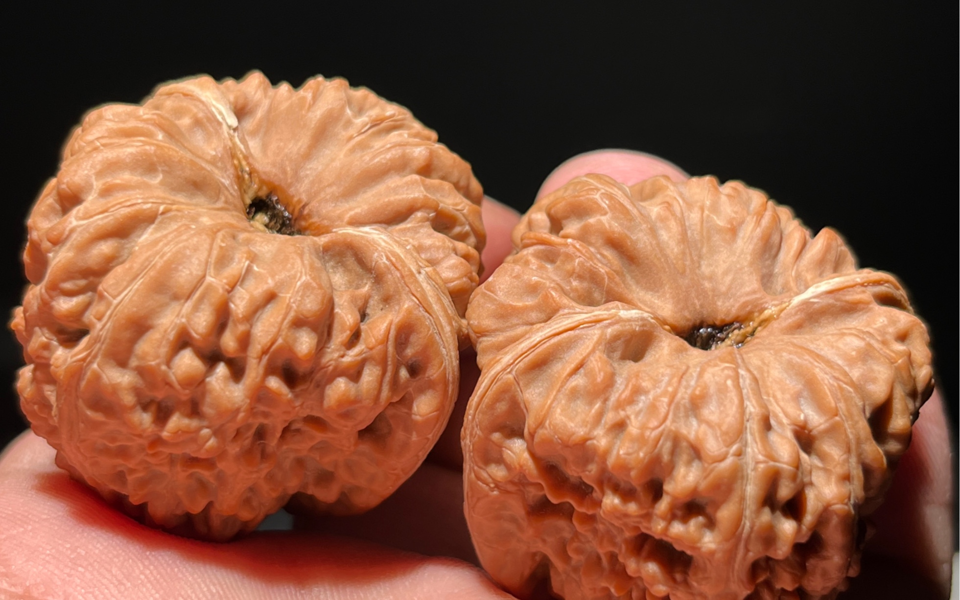 平谷凹底 酒杯款 有人喜欢不_哔哩哔哩_bilibili