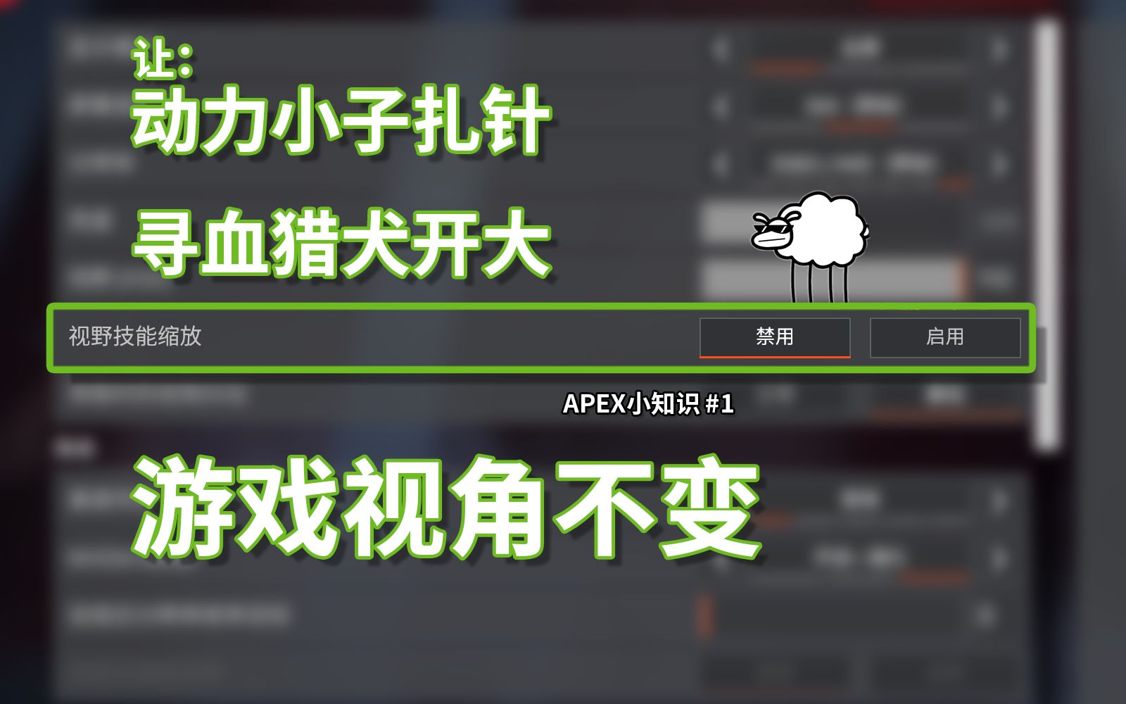 FOV终于有这个选项了 谢天谢地 【APEX小知识】#1哔哩哔哩bilibiliAPEX英雄