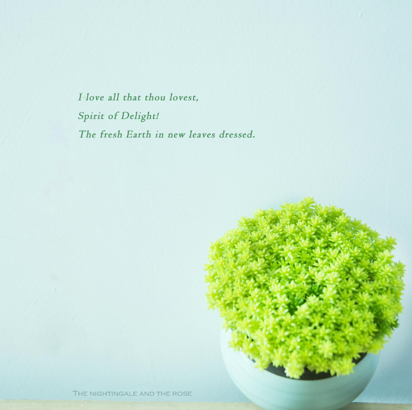 《纯音乐》rainy blue(蓝色阴雨)_哔哩哔哩_bilibili