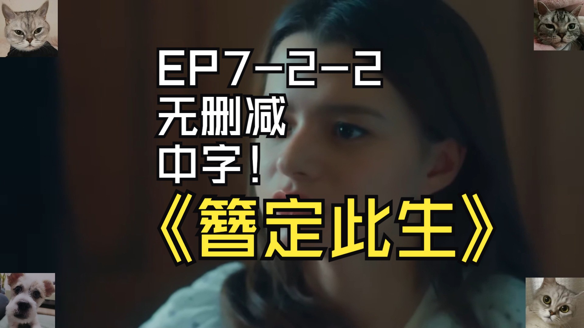 簪定此生无删减中字EP722哔哩哔哩bilibili